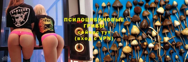 прущий лед Ладушкин
