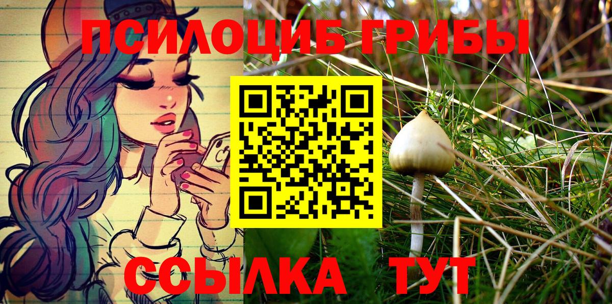 купить закладку  Воткинск  Псилоцибиновые грибы Magic Shrooms 
