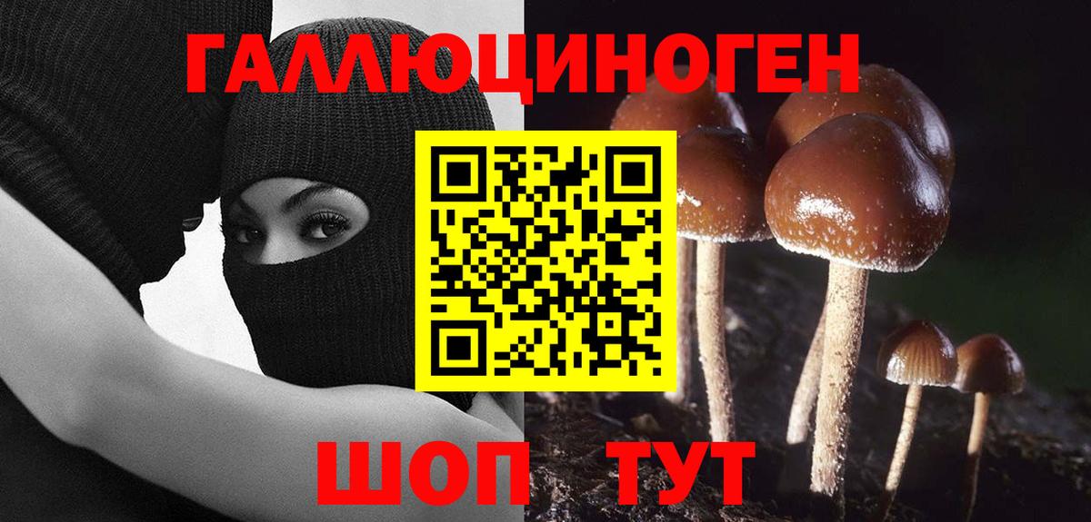 сколько стоит  Галлюциногенные грибы GOLDEN TEACHER  Вход с VPN  Воткинск  Галлюциногенные грибы Cubensis 