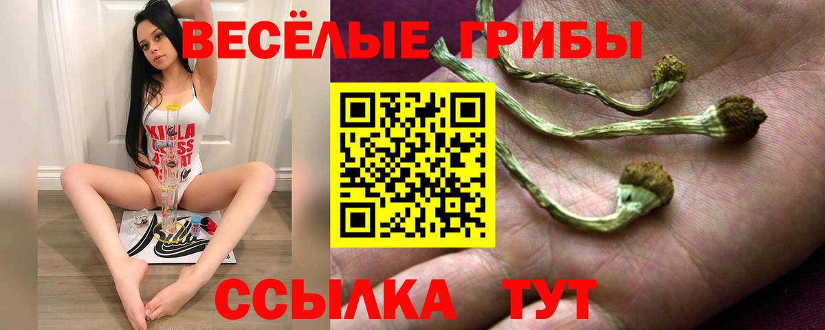 Галлюциногенные грибы GOLDEN TEACHER Воткинск